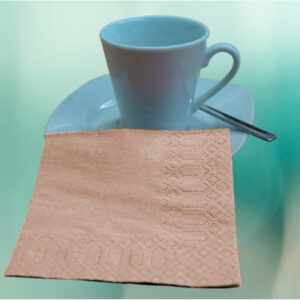 SERVILLETA 20*20 ECONATURE 100S CENEFA 60P