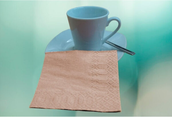 SERVILLETA 20*20 ECONATURE 100S CENEFA 60P