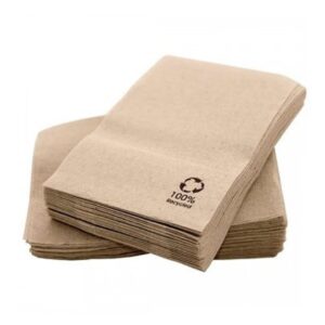 MINI SERVIS 17*17 ECONATURE TISSUE 140P